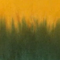 Amazônia B2R World Cup Brazil Tie-Dye Bikini Set