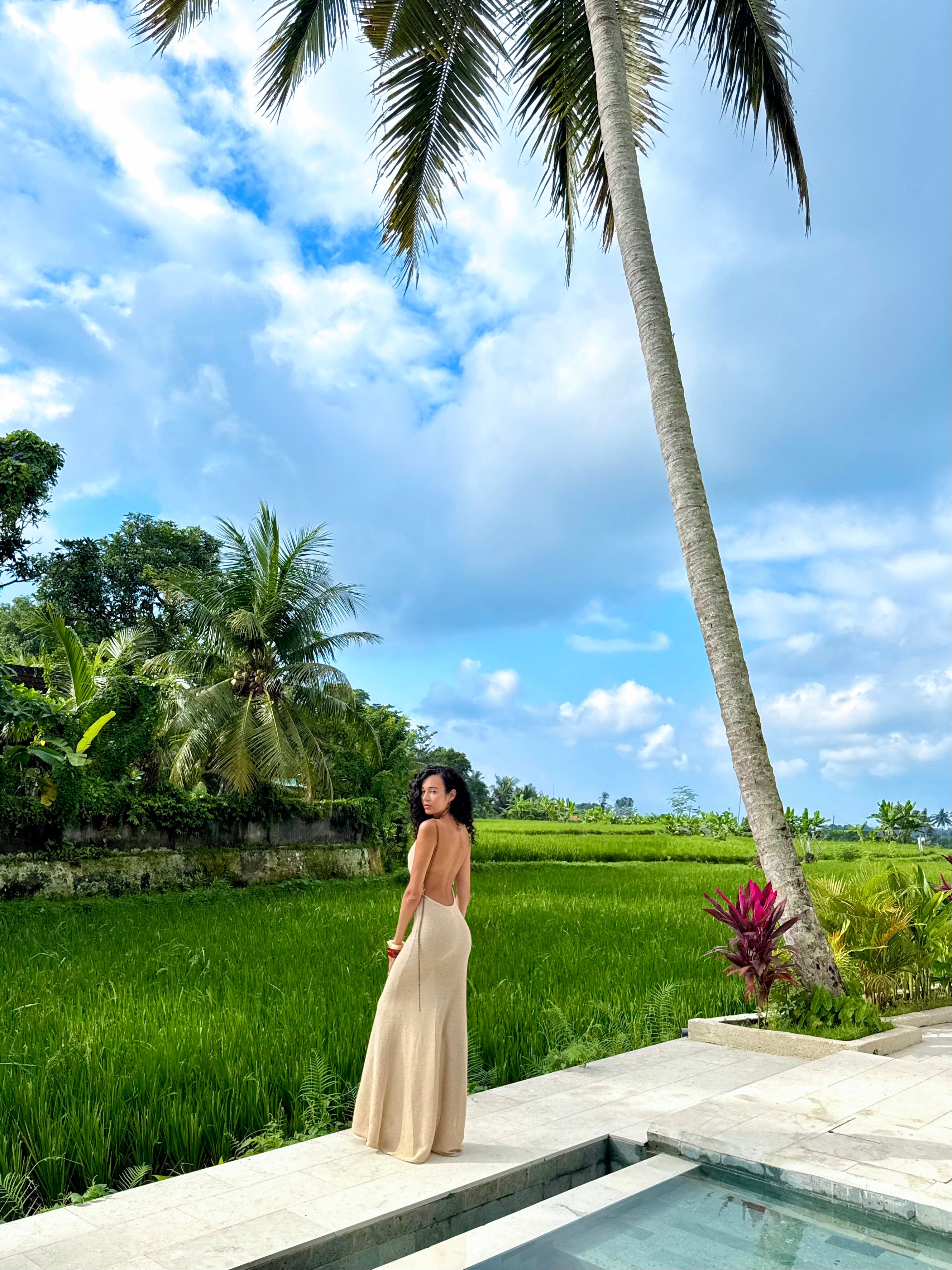 Amazônia B2R Lurex Open-Back Maxi Dress – Terracotta & Champagne